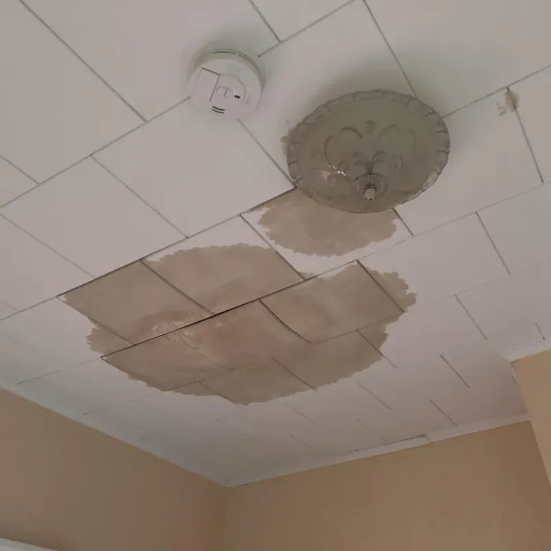 Ceiling Water Damage Repair in Hoke County, NC