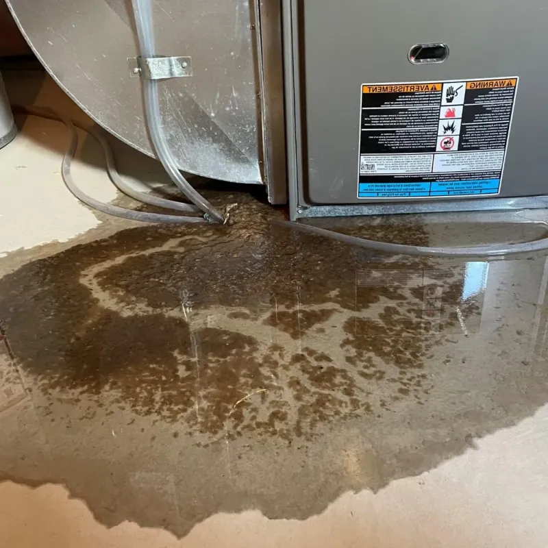 Pipe Burst and Leak Restoration in Hoke County, NC
