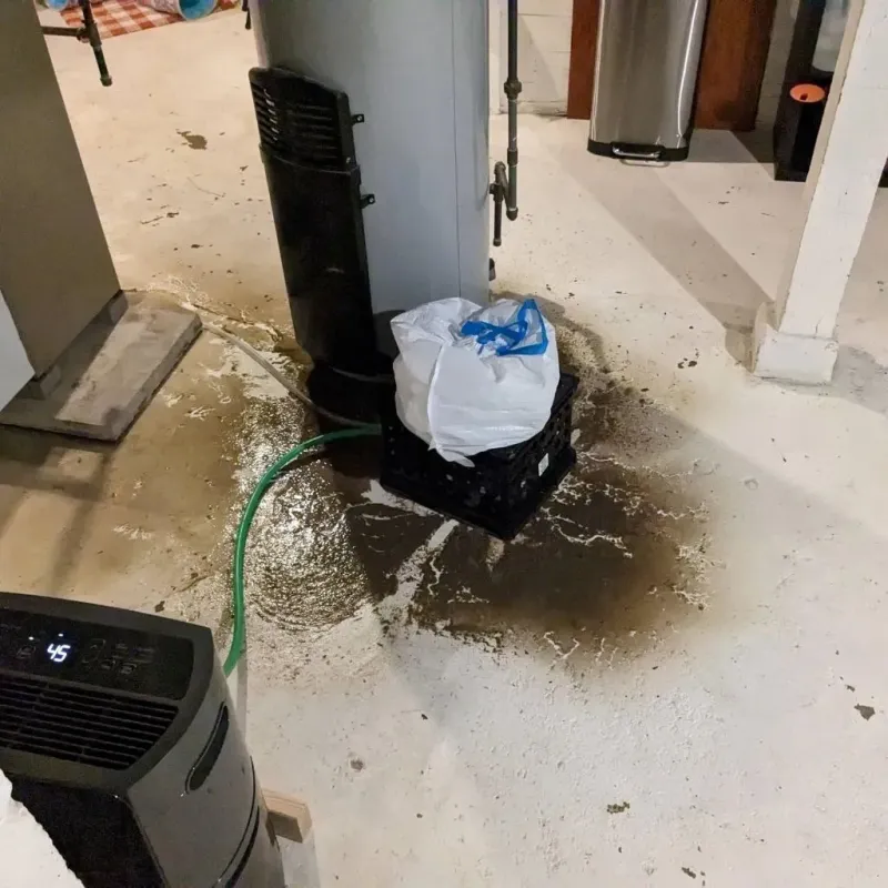 Sewage Backup Cleanup Service in Hoke County, NC